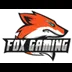 Fox Gaming