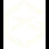 GIANTX iTero