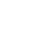 Any Questions Gaming