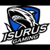Isurus
