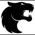 FURIA Esports