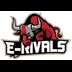 E-RIVALS