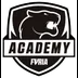 FURIA Academy