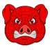 Spider Pigzs