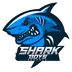 Shark Boys