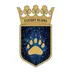 Esport Bears