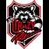 Crazy Raccoon