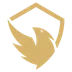 Reven Esports
