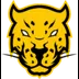 Jaguares Esports