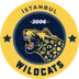 İstanbul Wildcats