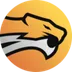 Wild Esports