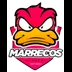 Marrecos Academy