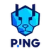 PING Cheetahs