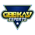 GeeKay Esports Cherry