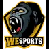 WeSports