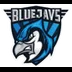 BLUEJAYS Lite