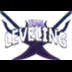 Team Leveling