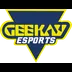 Geekay Esports