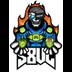 S8UL Esports