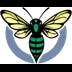 Hornets