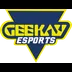 Geekay Esports