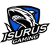 Isurus