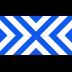 New York Excelsior