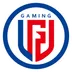 LGD Gaming