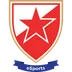 Crvena zvezda Esports