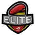 ASUS ROG ELITE