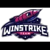 Winstrike Team