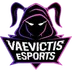 Vaevictis eSports