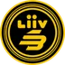Liiv SANDBOX