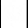 NSN