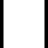 Spirit fe