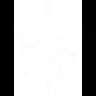 OMBRA Esports