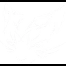 TEAM XDM