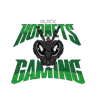 Black Hornets Gaming