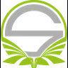 Team Singularity