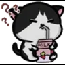 catJAMMERS