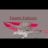 Team Falcon