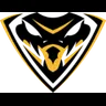 Team Viper