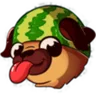 Perro Sandia
