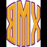 Team BearMax