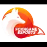 FOXNGAME eSports