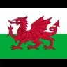 Team Wales