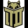 Team Demiral Esports