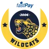 Istanbul Wildcats Academy