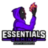 Essentials Gaming NA