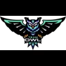 Team OWL